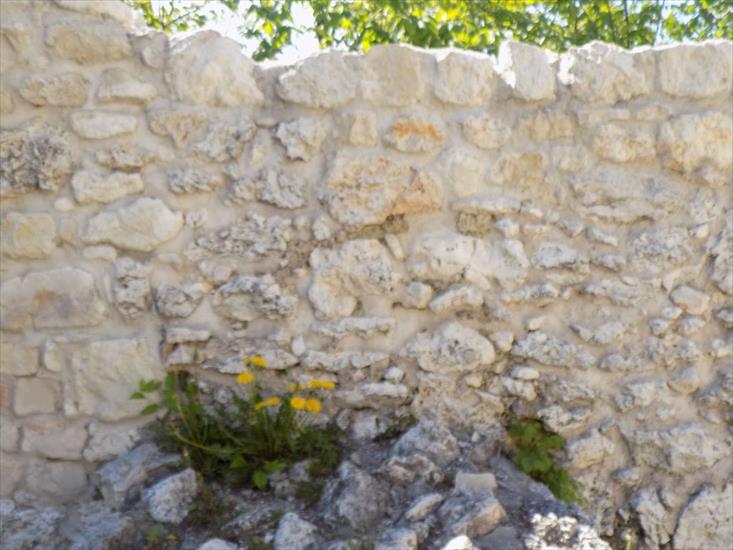 Ruiny zamku Pilcza i okolica - DSCN6186.JPG