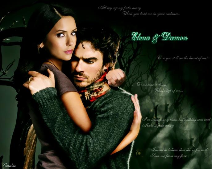 PAMIĘTNIKI WAMPIRÓW - Elena-Damon-the-vampire-diaries-16023392-1280-1024.jpg