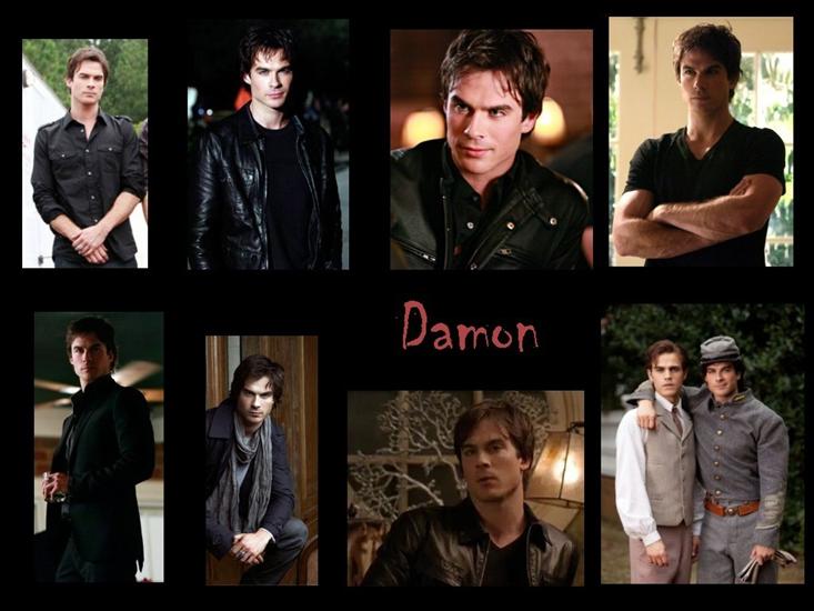 Ian Somerhalder Damon - damon-the-vampire-diaries.jpg