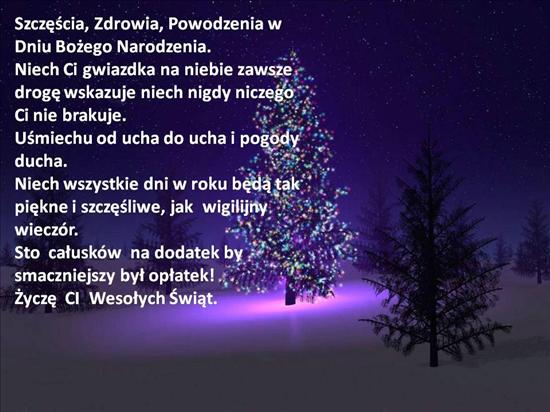 Na chomika - Wesołych Świąt-JEDYNA0101.jpg