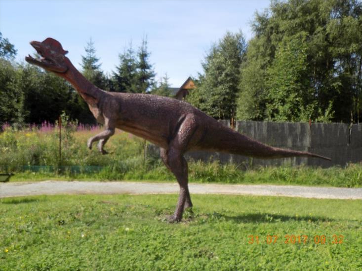 Karłów - Park Dinozaurów - DSCN0857.JPG