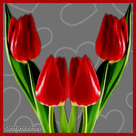  RÓŻNE 5 - tulipany.gif