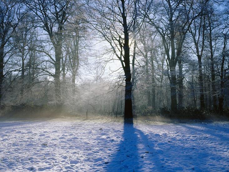 TAPETY WIDOKI - Winter Morning, Norfolk, England.jpg