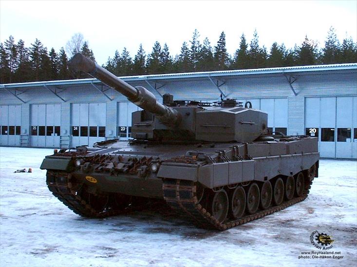 Anime - leopard2.jpg