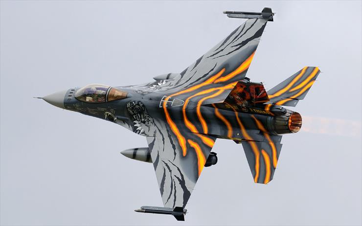 F 16 - F16 D Tiger.jpg