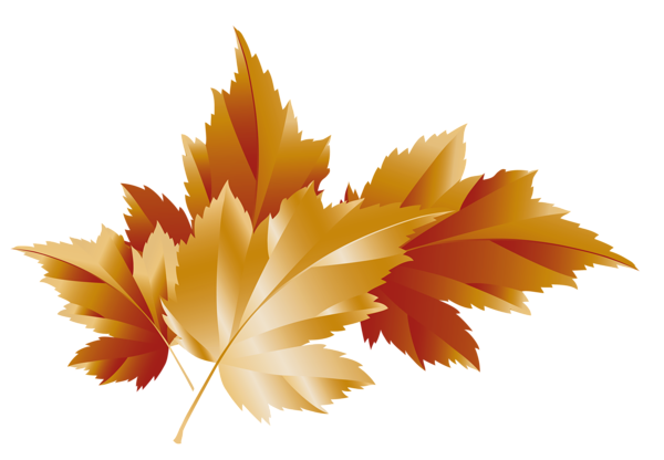 Linie Jesienne - Fall_Transparent_Leaves_Decor_Picture.png