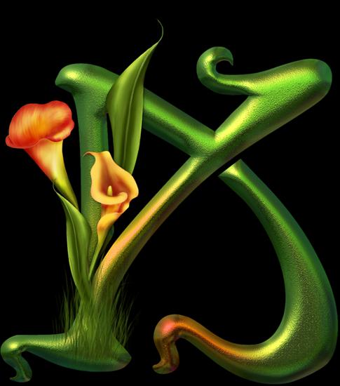 alfabet kwiatowy - K.png