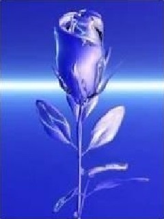 kwiaty - Blue_Rose4.jpg