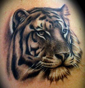 Tygrysy-Tiger - tiger-tattoo1.jpg