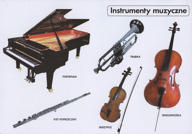 edukacja muzyczna - instrumenty muzyczne 2.jpg