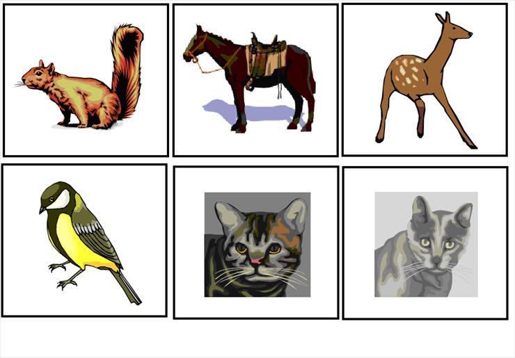 Obrazki do klasyfikowania - zwierzęta.PNG