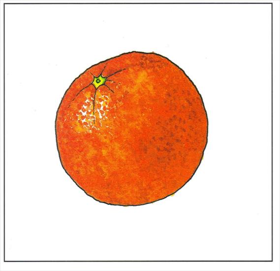 Owoce - pomarańcza.jpg