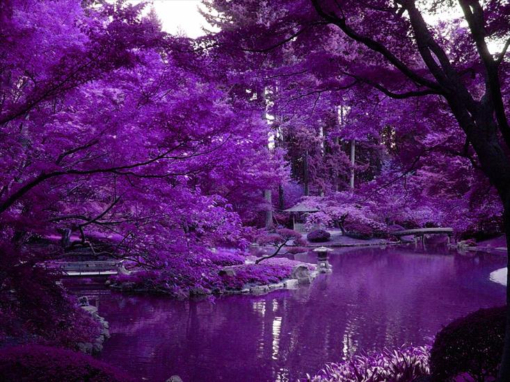 Tapety Japonia - Japanese_Garden_by_escapedLunatic13.jpg