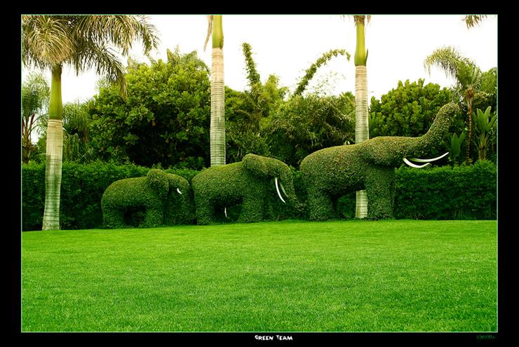Piękne ogrody - Green_Team_by_nbknew.jpg