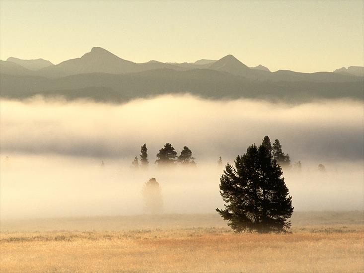 Tapety na pulpit - Fog at Sunrise, Pelican Valley, Yellowstone National Park, Wyoming - 1600x1200 - ID 43639 - PREMI.jpg