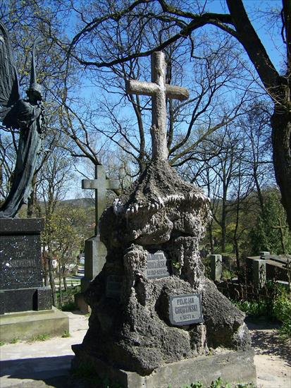 Cmentarz na Rossie - Wilno - Cmentarz na Rossie 024.jpg