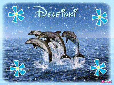 Delfinki - blog_he_4587384_6885058_tr_3-delfinki-1791.jpg