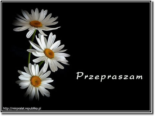 Przeprosiny - 53.jpg