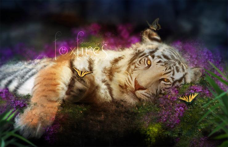 Natury kształt - Tiger Dreams.jpg