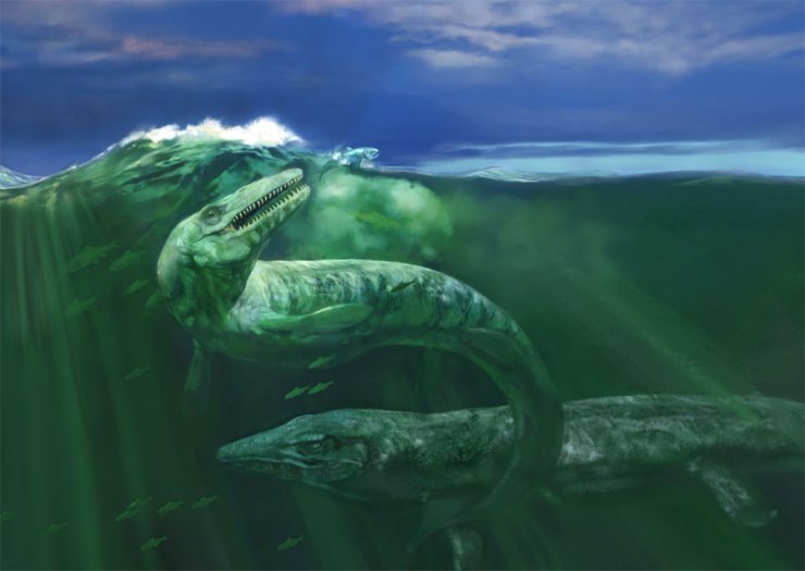  Prehistoria - Karen_Carr_Big Bend Mosasaurs.jpg