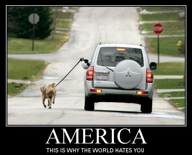 4. Demotywatory - Zwierzęta - why hate USA.jpg