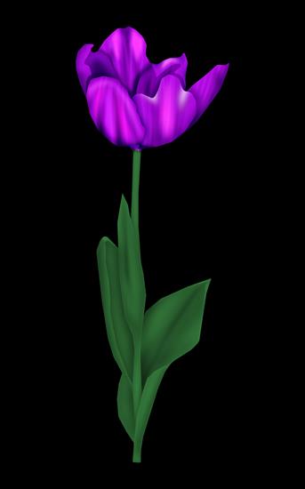 WIOSENNE PNG - flashgraphics tulip 5.png