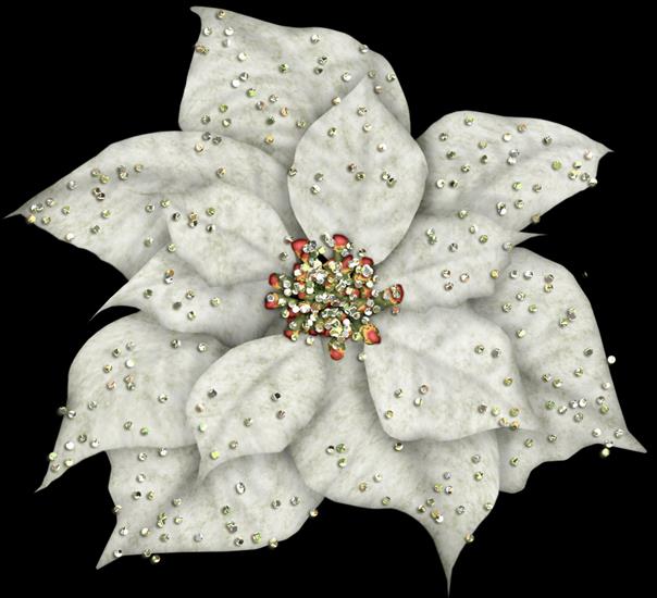 GWIAZDA BETL - poinsettia.png