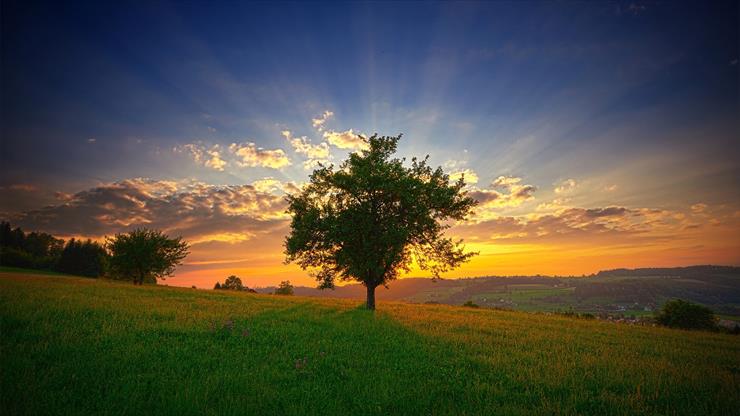 Przyroda, krajobraz - tree_sunset-1920x1080.jpg