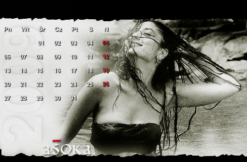 Kalendarze Bollywood - 727.jpg