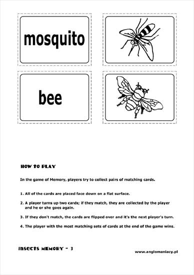 Flashcards - great - insectsM0002.jpg