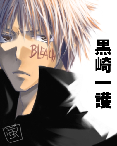 Bleach - Bleach___Ichigo_by_evanescent_adoration.jpg