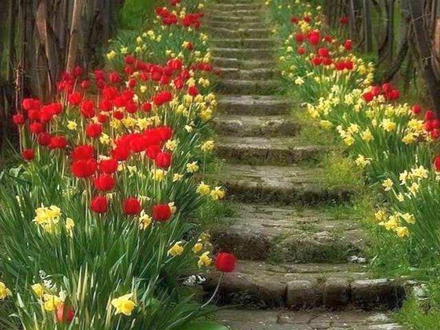 gifki i jpg-rozne - schody w kwiatach.PNG