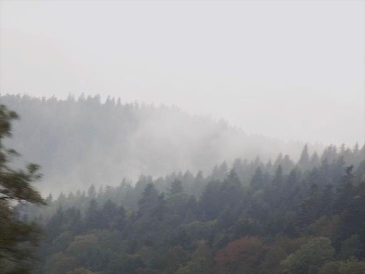 Góry we mgle - DSCN0141.JPG