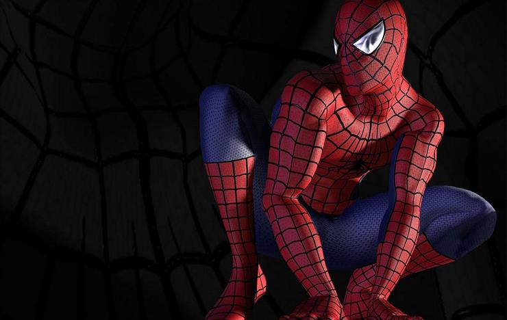 Marvel - Spider-Man 1-b.jpg