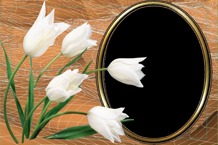 Ramki mojej kompozycji - Ramka-tulipany białe.png