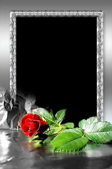 Z KWIATAMI 1a - Stylish Photoframe - Red Rose.png