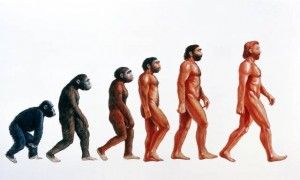 KREACJA  VS  EWOLUCJA - 00 ewolucja-człowieka.jpg