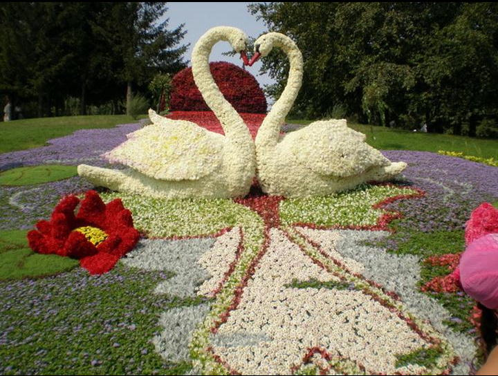 dekoracje w ogrodzie - propozycje - Slajd21.png