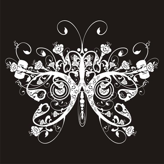 corel - Vector_Butterfly_000050.jpg