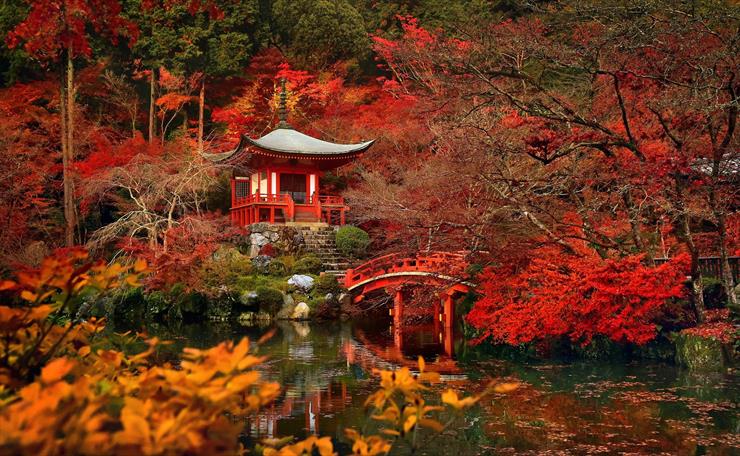  - TAPECIARNIA - Daigo Ji Kioto Japonia Światynia Jesień.jpg