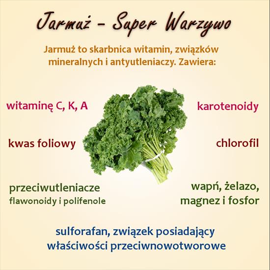 ZDROWE JEDZENIE - jarmuz_wartosci_odzywcze.png