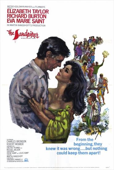 Filmy 1965 - Brodziec The Sandpiper 1965 DVDRip.XviD.jpg