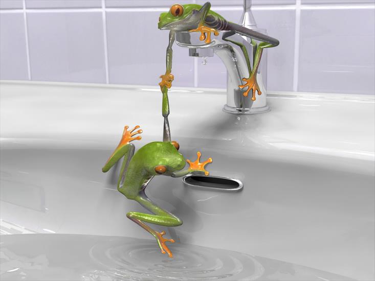 Żabki żywe - Frogs_cartoons.jpg