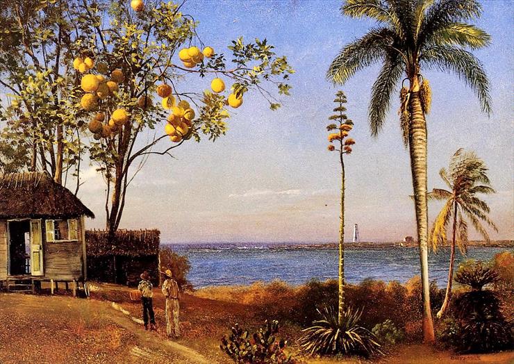 Albert Bierstadt - Bierstadt_Albert_A_View_in_the_Bahamas.jpg