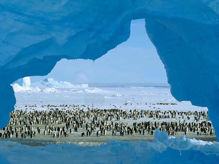 Antarktyda - Atka Bay, Weddell Sea, Antarctica.jpg