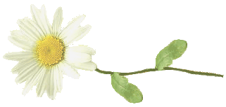 Kwiaty Chomisia52 1 - 12022.gif