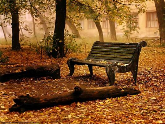 Jesień - samotna,jesienna ławka.jpg