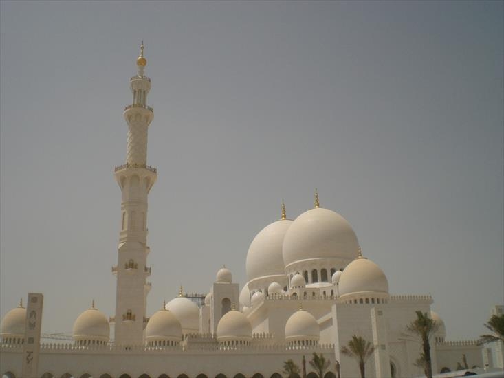 Architektura - Sheikh Zayed Mosque in Dubai.jpg