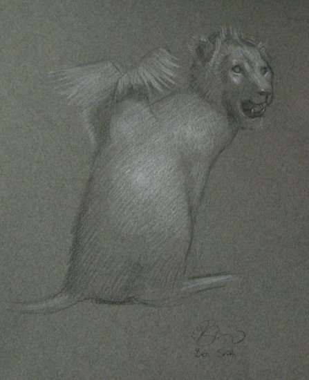 Studies - Griffin study Pencil and Chalk on paper.bmp