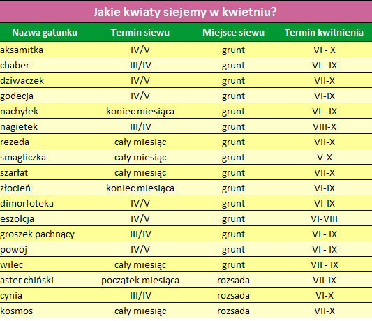 Działka OGRÓD - Kwiaty_wysiew w kwietniu.png